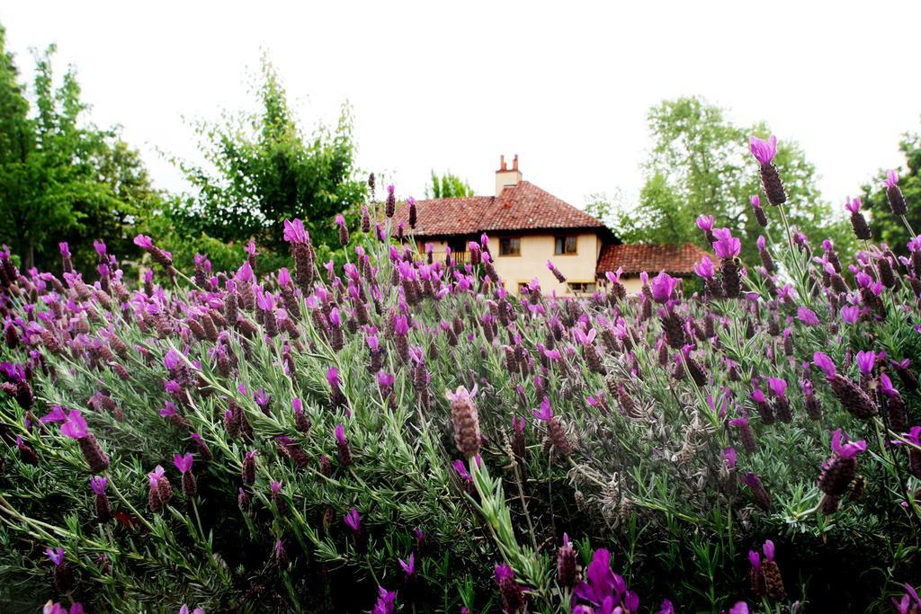 Rancho Caymus Inn Rutherford المظهر الخارجي الصورة